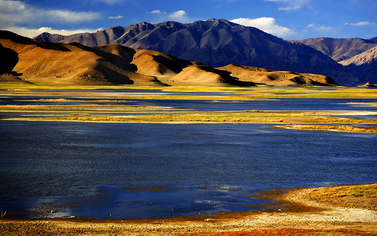 廣州到阿里物流專線,廣州到阿里貨運(yùn)公司